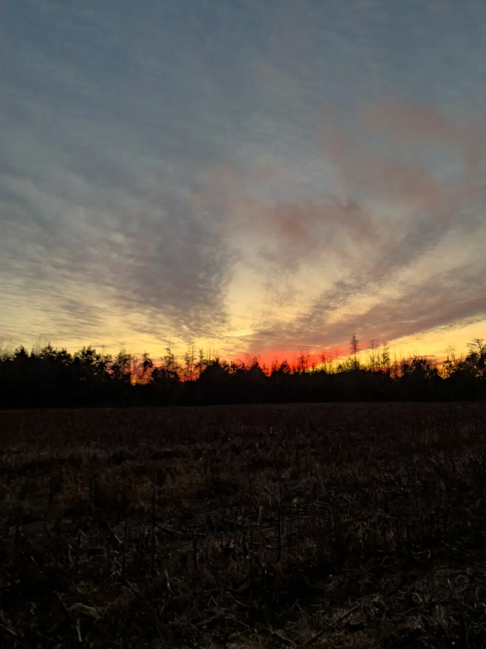 Sunset clouds fanning out over a quiet field and tree line in rural South Carolina