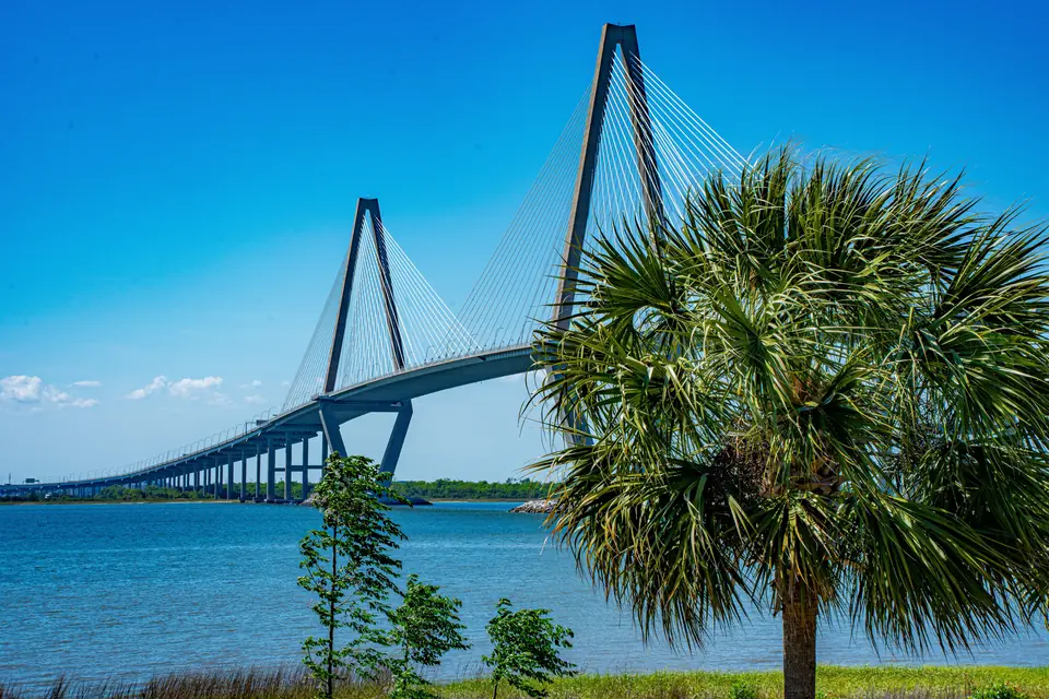 A palmetto tree in front of the Ravenel Bridge under a bright blue sky in Charleston, SC